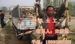 剥虾工人爆料图片高清视频,高清视频曝光惊人内幕
