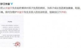 娱乐圈的那个吃瓜文件,真相与谣言的交织