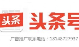 今日头条飞行员爆料电话,揭秘航空安全背后的真相