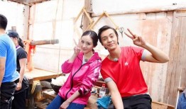 杨幂陈伟霆最新爆料,揭秘幕后故事与情感纠葛