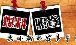 新闻爆料原版,新闻爆料背后的真相与内幕