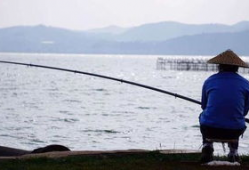 春天钓鱼爆料最新消息,揭秘最新爆料，钓鱼爱好者不容错过的春季钓鱼攻略