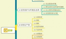 护肤博主大爆料视频大全,视频大全中的护肤秘籍大公开