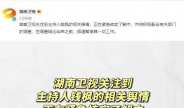 娱乐吃瓜网718,揭秘娱乐圈最新热点事件