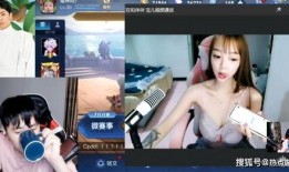 爆料二姐视频下载安装,揭秘“爆料二姐”视频下载安装全过程