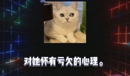 娱乐吃瓜爆料最新一期,明星秘闻大揭秘！