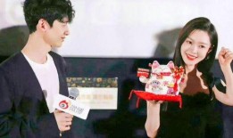 刘大锤r1se最新爆料,揭秘偶像幕后故事