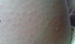 吃鸡皮肤爆料最新载具,全新载具亮相！吃鸡游戏最新皮肤爆料揭秘