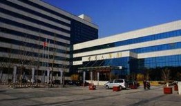 金苑大酒店最新爆料,揭秘奢华背后的秘密与争议