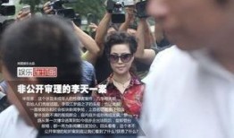 爆料母子失踪案件视频完整版,追踪真相的惊心动魄历程