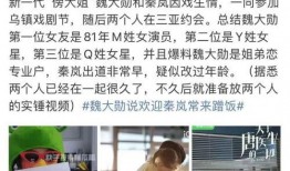 杨紫内娱大瓜爆料视频,揭秘娱乐圈幕后真相