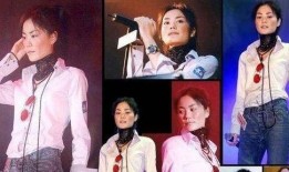 最新王菲爆料事件,揭秘娱乐圈不为人知的秘密