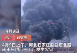 粤东事件爆料视频大全最新,视频大全揭秘真相与内幕