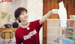 娱乐圈吃瓜王源