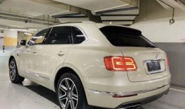 中国豪车爆料视频大全,视频大全带你领略顶级座驾风采