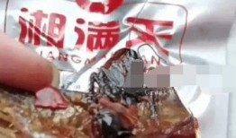 鱼尾零食爆料视频播放在线观看,在线观看，揭秘零食界的神秘面纱