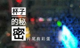 辽宁饭店爆料视频最新,揭秘酒店内部惊人真相