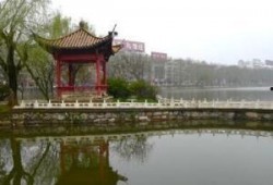 甘棠公园爆料视频最新,揭秘公园美景与神秘事件