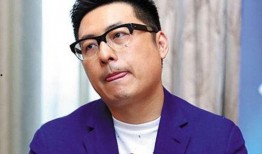 王岳伦最新爆料,娱乐圈背后的惊人真相