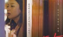 韩国谎言在线观看,在线观看背后的真相与争议