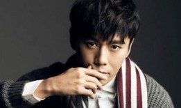 秦昊明星八卦爆料视频,揭秘幕后故事与幕后花絮