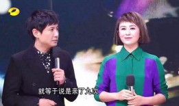 爆料马丽老公离婚了视频,视频爆料揭示婚姻破裂真相