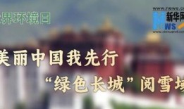 西藏新闻爆料藏语,藏语新闻背后的故事与真相