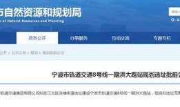宁波新公司最新爆料消息,揭秘创新项目与未来发展规划