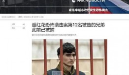 俄罗斯爆料黑料事件视频,视频事件背后的真相与争议