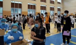 宝鸡高速最新爆料消息查询,施工进展与交通调整全解析
