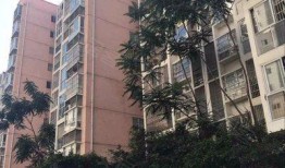 西安白羊佳苑最新爆料,揭秘项目进展与周边配套升级