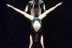 舞娘俱乐部在线观看,舞娘俱乐部在线观看攻略