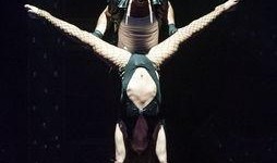 舞娘俱乐部在线观看,舞娘俱乐部在线观看攻略