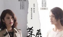 电视剧荼蘼 在线观看,爱恨交织的都市情感纠葛