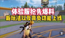 爆料体验服最新玩法下载,下载体验，畅游未知领域！