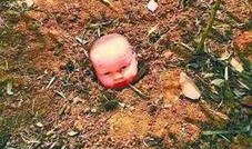 南阳花坛爆料事件视频,真相与争议的交织