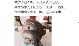 快播在线观看奴,揭秘网络色情内容的灰色地带