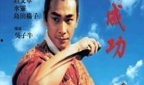 英雄郑成功在线观看,海上英雄的荣耀征程