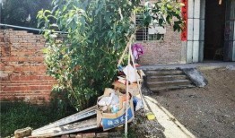 五华水寨爆料视频大全,揭秘神秘水寨的传奇故事