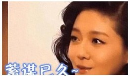 福州娱乐圈爆料事件真相,一场风波背后的真相与反思