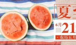 网红吃瓜推特号,带你领略娱乐圈幕后风云”