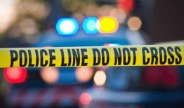 快播在线观看奴,揭秘网络色情内容的灰色地带