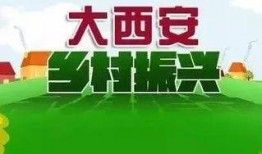 今日爆料西安新闻联播,聚焦今日热点事件，揭秘幕后真相