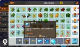 迷你小雨林爆料视频,探秘神秘生态奇观