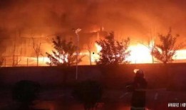 郴州露营爆料事件始末视频,揭秘背后真相与争议