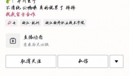 浏览器网红吃瓜,揭秘网络红人背后的真实故事