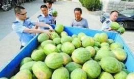 郫县网红吃瓜群微信,揭秘网络社交圈的趣味与争议