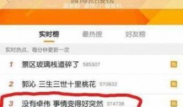 卓伟爆料蜘蛛精真相视频,蜘蛛精真相视频曝光，揭秘神秘生物之谜