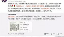 东莞李先生爆料案件最新,真相大白，正义终将到来