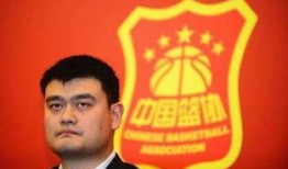 姚明爆料买房视频,揭秘篮球巨星豪宅生活